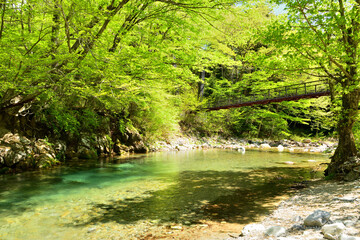 栃木県那須塩原市　木の俣園地を流れる木の俣川と巨岩吊り橋