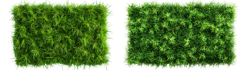 Top Down View of Vibrant Green Grass Meadow Texture Isolate on Transparent Background, cutout, png
