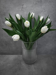 White tulips bringing spring joy in a modern glass vase
