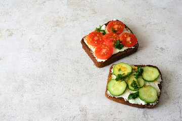 Two Delicious Sandwiches with Fresh Tomatoes and Cucumber copy space