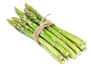 Isolated asparagus bunch tied with string
