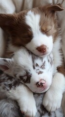 Sleepy Puppies Cozying Up