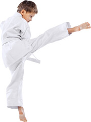 Back view photo of little boy, sportsman training, practicing karate against transparent...