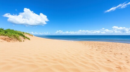 Fototapeta premium Tranquil beach scene on a sunny day. Light golden sand meets a calm ocean under a vibrant blue sky. Lush green vegetation is seen on a small dune.
