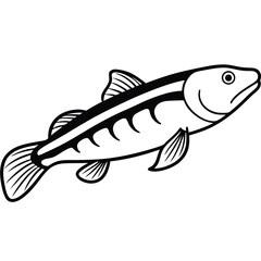 Fish silhouette isolated on white background