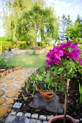 Idyllischer Naturgarten