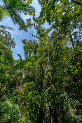 Sierra Nevada Colombia, Lost City Trek