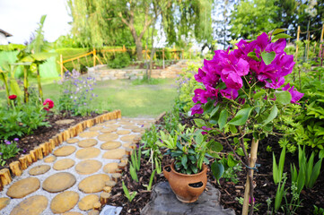 Idyllischer Naturgarten