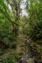 Sierra Nevada Colombia, Lost City Trek