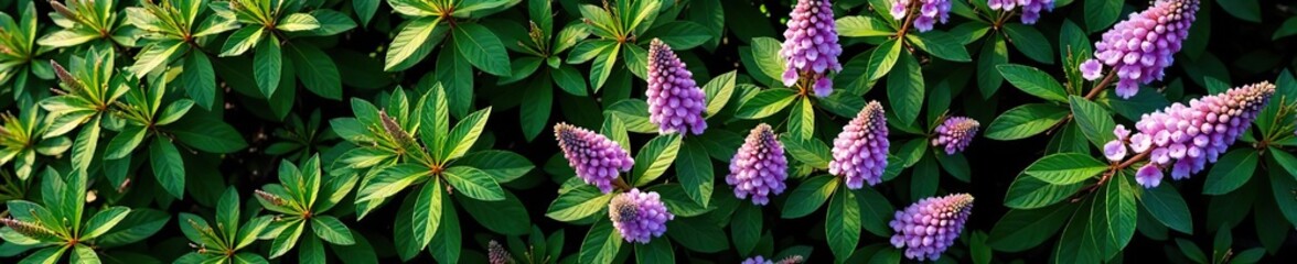 Fototapeta premium Tree with purple flowers top view, perfect for landscaping and architectural plans, design, top view