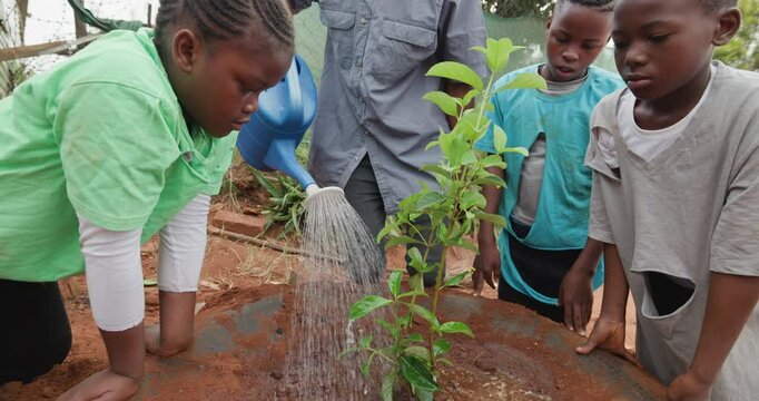 Poverty. Inequality. Close-up. Black African children planting and watering a tree to combat climate change and global warming in front of their shack in a township in Africa