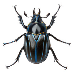 Goliath Beetle AI Generated Image