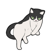 寝ころんでいるハチワレ猫