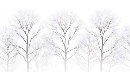 Fototapeta premium tree branches silhouette