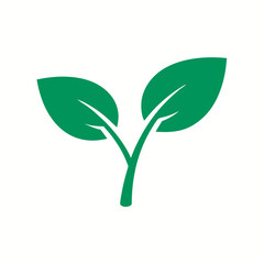 green plant isolated on white background