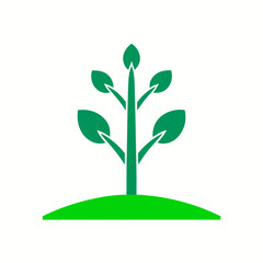 green tree isolated on white