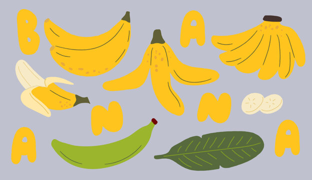 Set of Bananas in different shapes Hand-drawn text Vector Illustration 	
