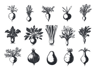 Vegetables Celery Potatoes Fennel Icon Set Black and White Block Prints Linocut Print Root Vegetables Green Vegetables Produce Organic Healthy Eating Harvest Nature Farm Fresh