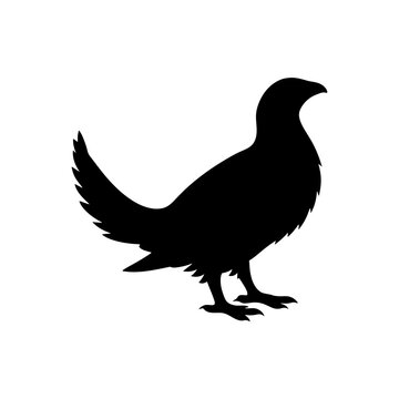 recommend clip art: Greater sage grouse silhouette vector flat illustration design.