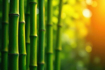 Fototapeta premium Vibrant colored bamboo background with green, yellow, and red hues, colorful, vibrant