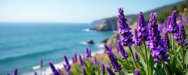 Vibrant purple sea lavender flowers growing along the coast with the ocean in the background,  purple,  serene