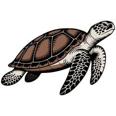 turtle swimming in the water