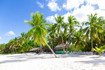 Beautiful shot of green palms trees over blue sky on tropical island with white sandy beach, perfect paradise vacation place