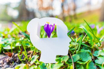 Blooming Crocus Flower Emerging From Female Head Shaped Paper Cut-Out Outdoors