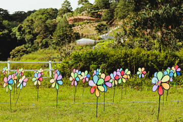 A vibrant field filled with colorful pinwheel flowers arranged in rows, surrounded by lush greenery, trees, and structures like greenhouses in the background