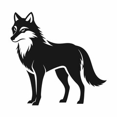 wolf vector illustration