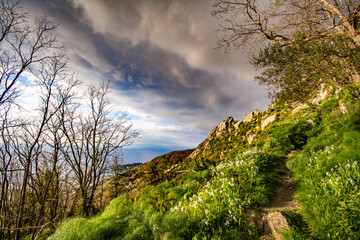 Hiking on Ischia Island, Mount Epomeo