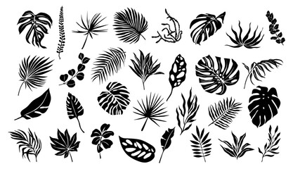 Set of black silhouettes of tropical leaves. Hand drawn elegant exotic eucalyptus, monstera, banana, palm leaves. Trendy botanical vector monochrome illustrations isolated