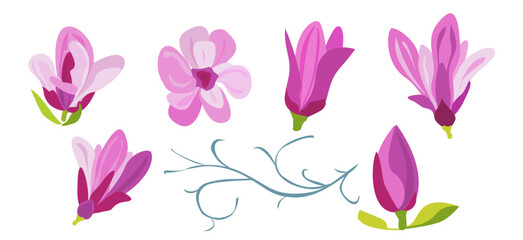 Collection of pink magnolia flowers in art craft style, containing various stages of flowering, green leaves and decorative branches on a white background