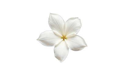 Obraz premium Elegant white flower isolated on transparent background. Perfect for wedding invitations, spring designs, minimalist layouts, or serene botanical art. Pure, delicate, and refined.