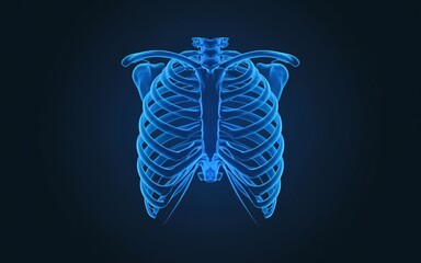 3D Human Rib Cage Anatomy Bone Cross-Section neon,