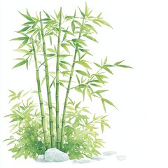 Naklejka premium Bamboo growth and sustainability natural habitat illustration tranquil setting close-up view eco-friendly concept