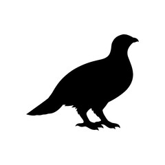 Arctic grouse silhouette vector flat illustration design.