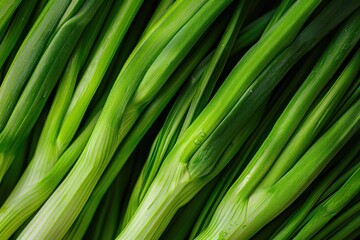 Fototapeta premium Spring onion vegetable produce plant.