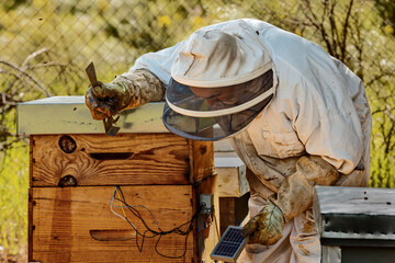 Beekeeper connecting a solar panel to a smart hive with sensors in a rural setting