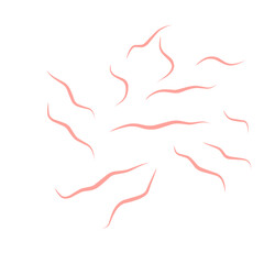 Worms intestinal icon
