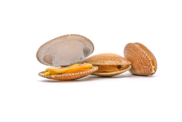 Closed up fresh baby clams. venus shell. shellfish. carpet clams. short necked clams. as raw food from the sea are the seafood ingredients. fresh clams Background.