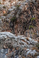Weathered rock cliff texture background showcasing rugged texture