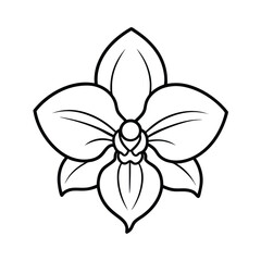 Elegant Black Outline Orchid Flower Botanical Line Art Illustration