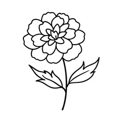 Simple Line Drawing of a Single Marigold Flower Blossom