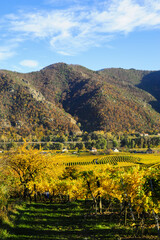 Weltkulturerbe Wachau im Herbst, Österreich, NIederösterreich,