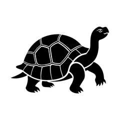  Extinct animal Pinta island Tortoise silhouette 