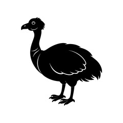 Extinct animal dodo silhouette vector illustration  © MDAriful