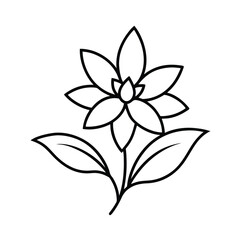 Simple Line Drawing of a Blooming Elegant Flower