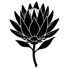 lotus flower vector