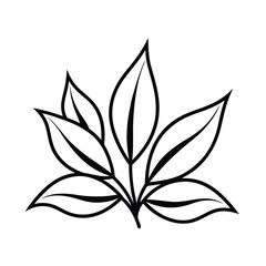 Simple Line Drawing of Five Elegant Plant Leaves